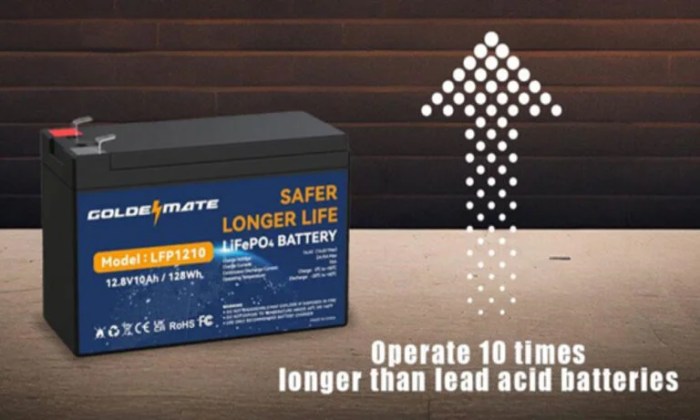 Comparing Longevity: 10-Year Lifetime Vs. 3-Year Lifetime In Battery ... Comparing Longevity: 10-Year Lifetime Vs. 3-Year Lifetime In Battery ...