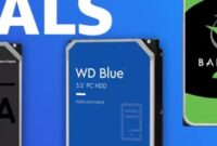 Cheap HDD Storage VPS Server, VPS Big HDD Storage