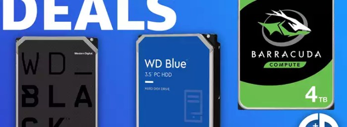 Cheap HDD Storage VPS Server, VPS Big HDD Storage Cheap HDD Storage VPS Server, VPS Big HDD Storage