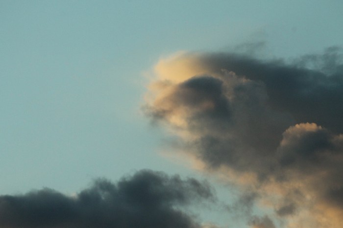 Cloud Texture Free Stock Photo - Public Domain Pictures Cloud storage benefits